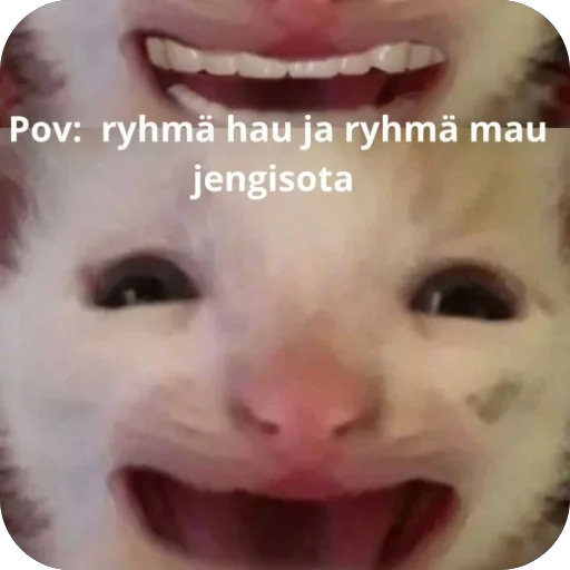 hampitat – Telegram-tarra